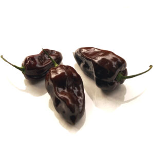 blackpointedhabanero