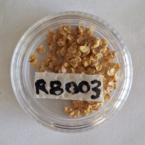 RB003 Seeds