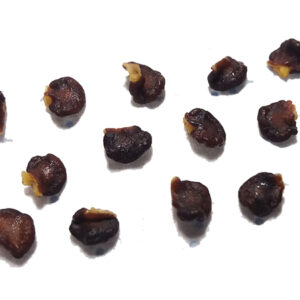 rocoto giant red seeds (10)