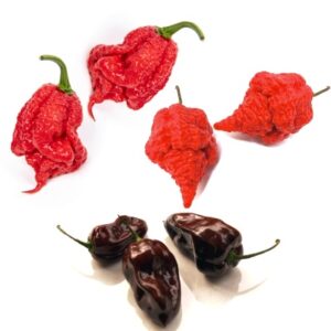 chilli seeds combo