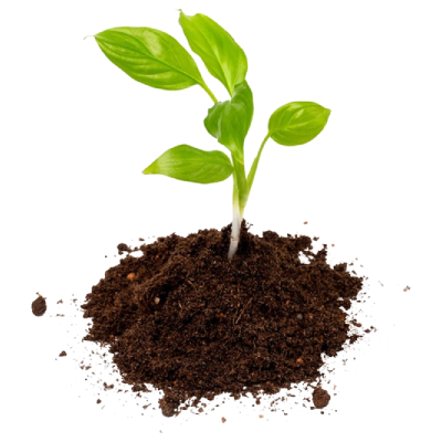 umya soil nutrients