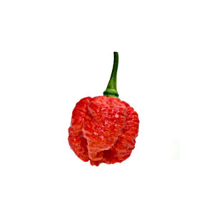 7 pot brain strain