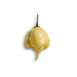 california reaper white
