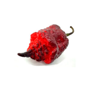 orion chilli pepper